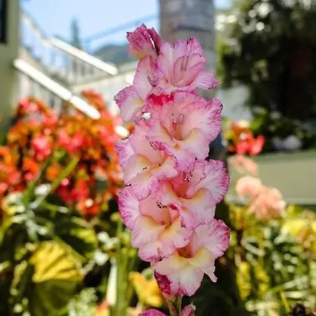 Hikers Haven Villa *